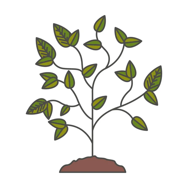 Planta con diseño de hojas — Vector de stock