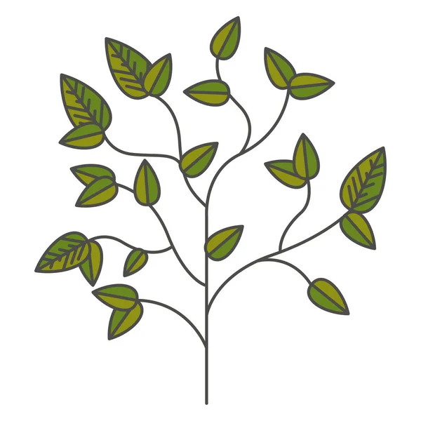 Planta con diseño de hojas — Archivo Imágenes Vectoriales