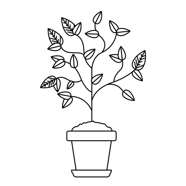 Pflanze im Topf — Stockvektor