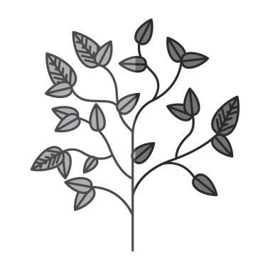 Yaprak tasarımı ile bitki