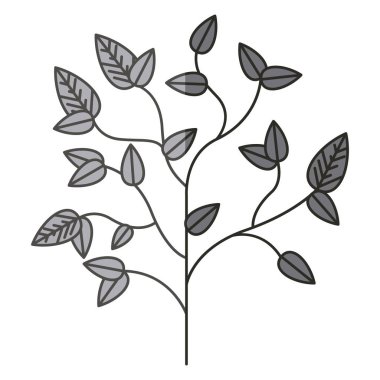 Yaprak tasarımı ile bitki