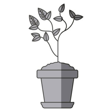 Esrar tasarımının içine yerleştir