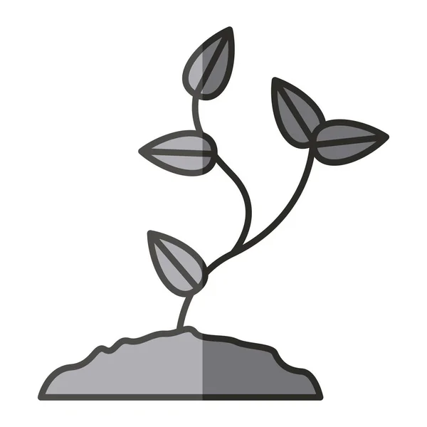 Planta com design de folhas — Vetor de Stock