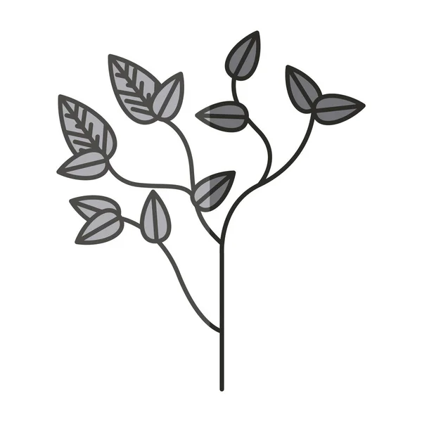 Plante avec design de feuilles — Image vectorielle