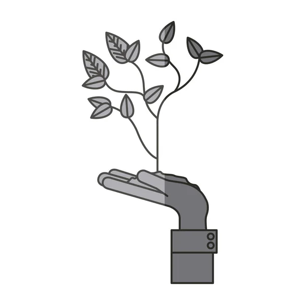 Geïsoleerde plant over hand ontwerp — Stockvector