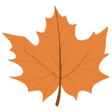 Yaprak Sonbahar sezonu tasarım