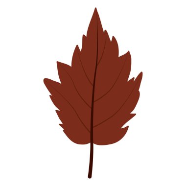 Yaprak Sonbahar sezonu tasarım