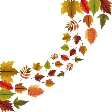 Sonbahar sezonu tasarım yaprakları