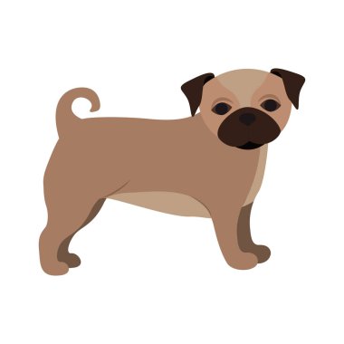 köpek hayvan simgesi, evde beslenen hayvan kavramı