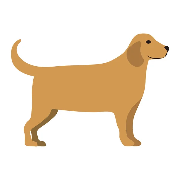 Hund Tier Ikone, Haustier Konzept — Stockvektor