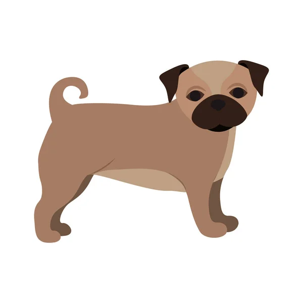 Kutya állat ikon, kisállat koncepció — Stock Vector