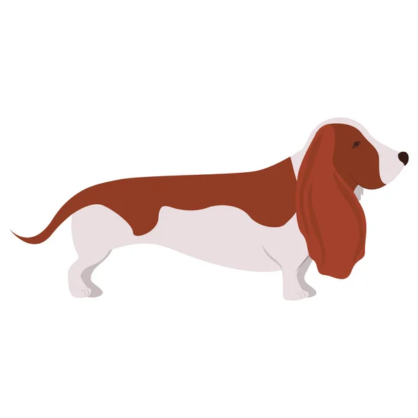 Dog animal icon, pet concept — Stock Vector