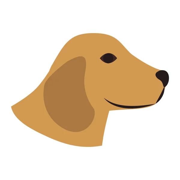 Animal de perro icono, concepto de mascota — Vector de stock