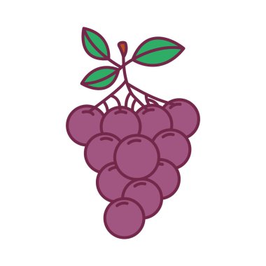 siluet üzüm ile renk ve kök ve yaprakları