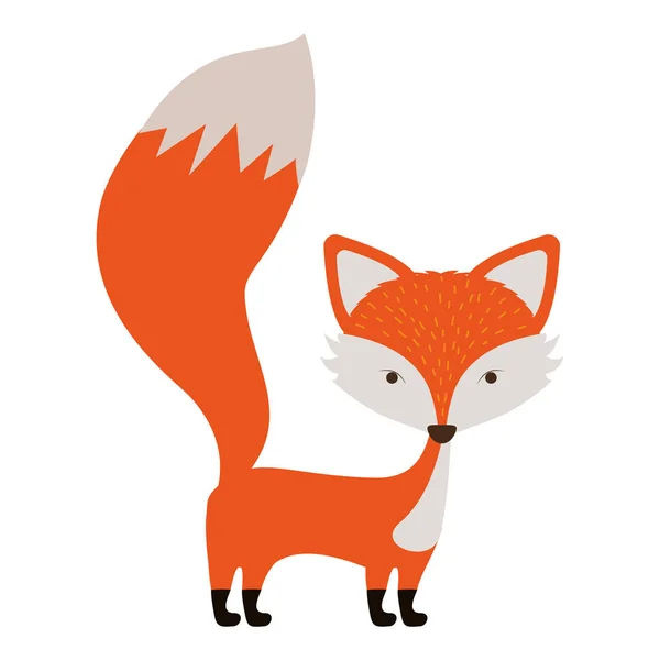 Cartoon fox icon — Stock Vector