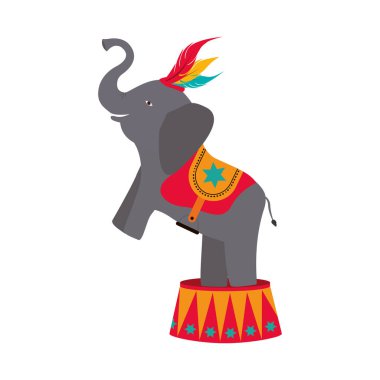 sirk gösterisi tasarım