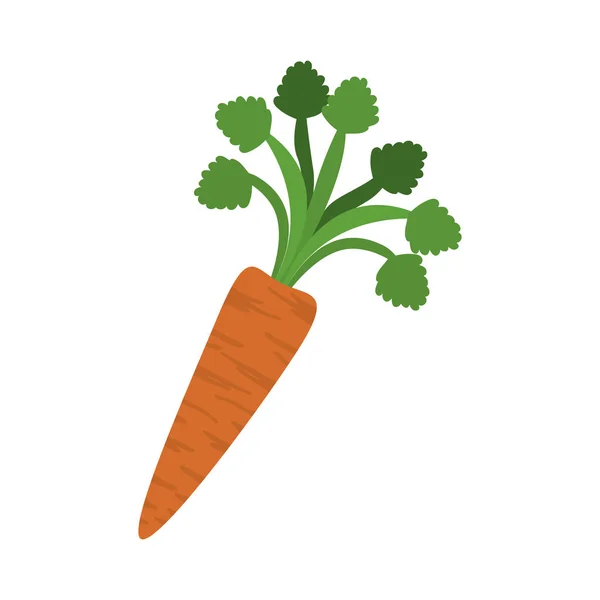 Ikon sayuran wortel - Stok Vektor