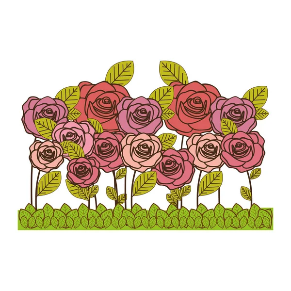 Rosa flores ícone imagem — Vetor de Stock
