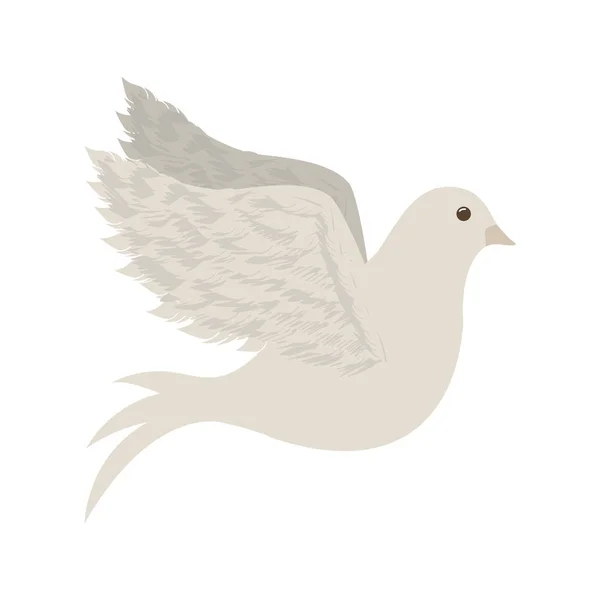 Colombe paix icône image — Image vectorielle