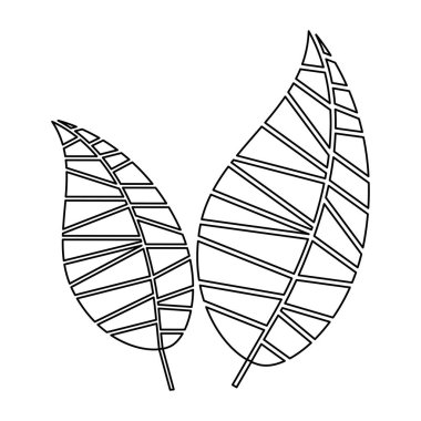 yaprak soyut simge görüntüsü
