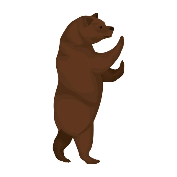 Immagine a colori con orso in piedi — Vettoriale Stock