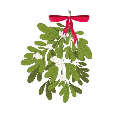 Christmas mistletoe with red ribbon clipart
