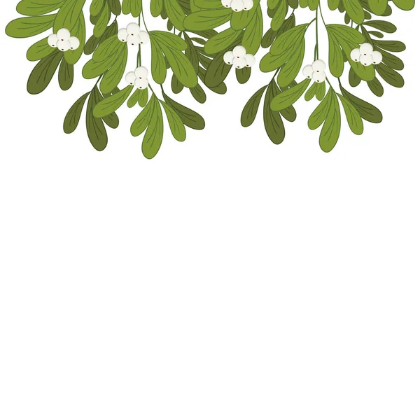 Christmas upper edge mistletoe with white flowers — Stock Vector