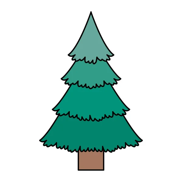크리스마스 시즌 디자인의 소나무 — 스톡 벡터