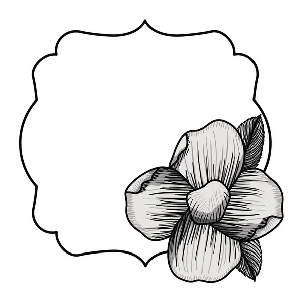 İzole çerçeve çiçek tasarım — Stok Vektör