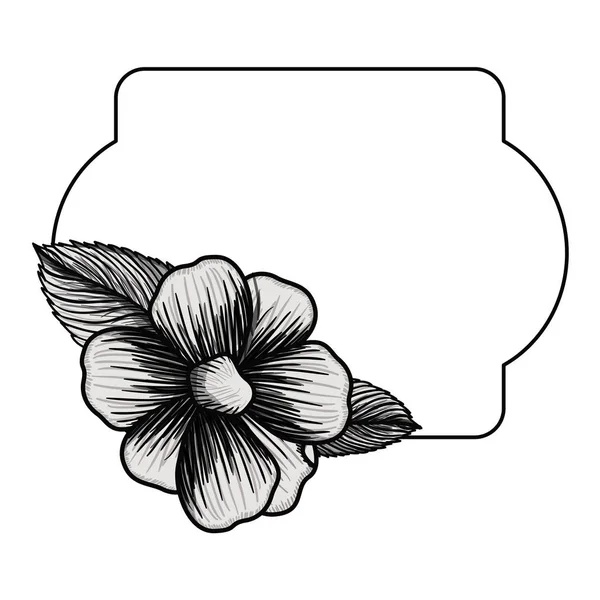 Σχέδιο απομονωμένο floral πλαισίων — Διανυσματικό Αρχείο
