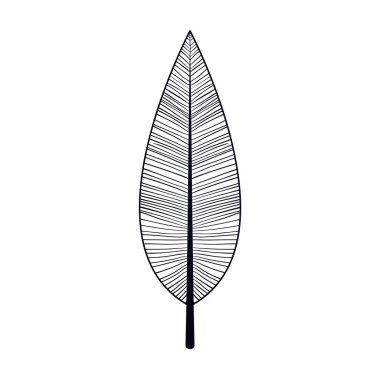 İzole tüy tüy tasarım