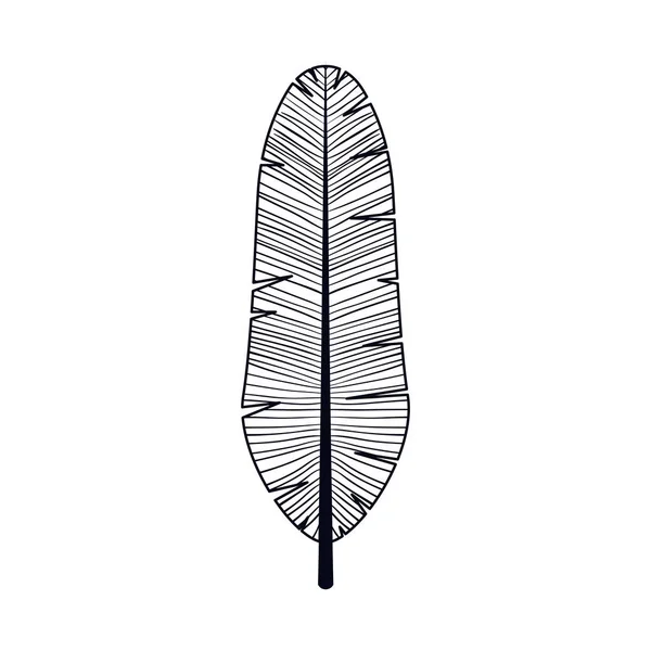 Conception isolée de panache de plumes — Image vectorielle