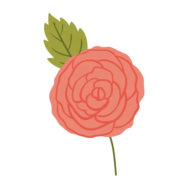 Diseño de decoración de rosas aisladas — Vector de stock