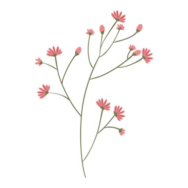 İzole çiçek dekorasyon