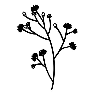 İzole çiçek dekorasyon