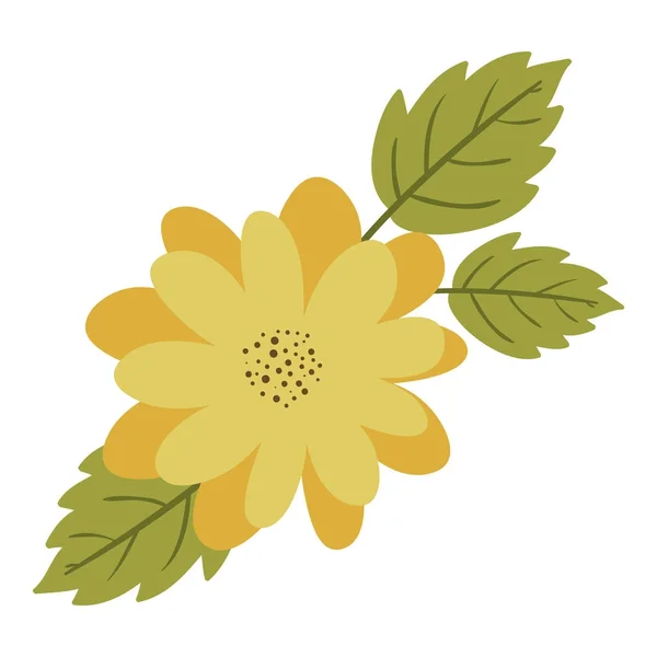 Ontwerp met geïsoleerde bloemen decoratie — Stockvector