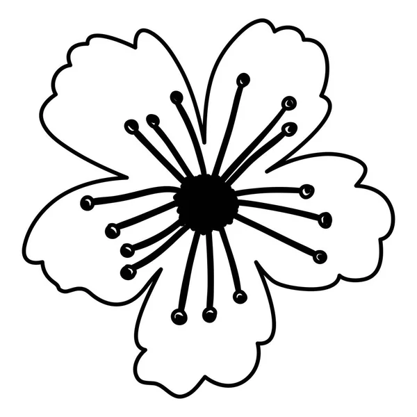 Isolerade blomma dekoration design — Stock vektor