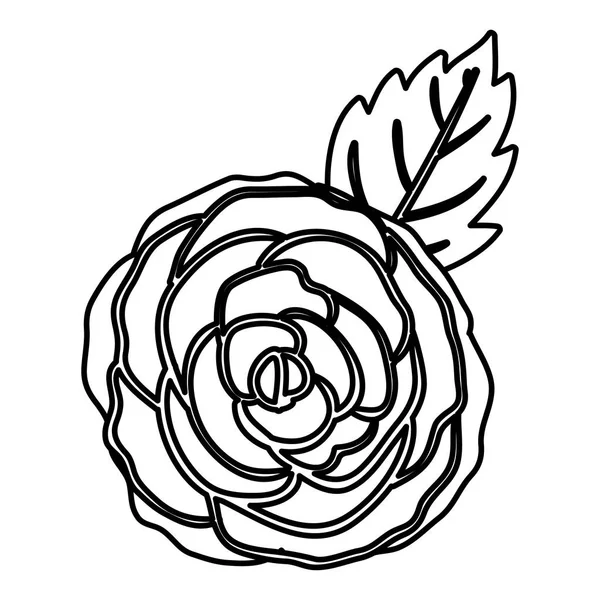 Conception de fleur de rose isolée — Image vectorielle