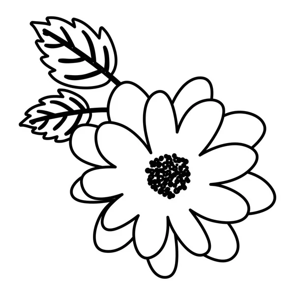 Diseño de decoración de flores aisladas — Vector de stock
