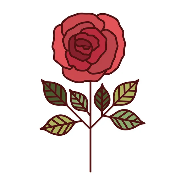 孤立的玫瑰花朵设计 — 图库矢量图片