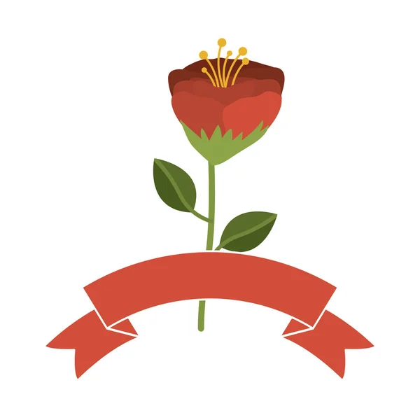 Diseño de decoración de flores aisladas — Vector de stock