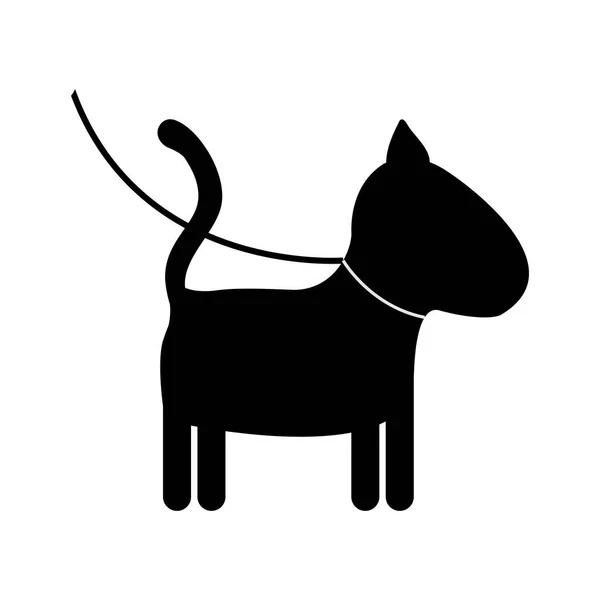 Design de mascote de cão isolado — Vetor de Stock