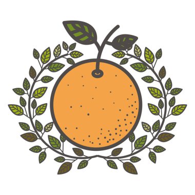 Yalıtılmış turuncu meyve tasarım