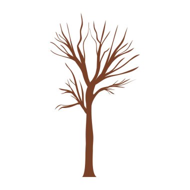 ağaç gövdesi ile şubeler yaprakları olmadan