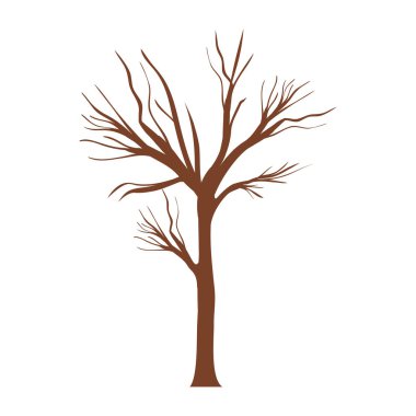 ağaç gövdesi ile şubeler yaprakları olmadan