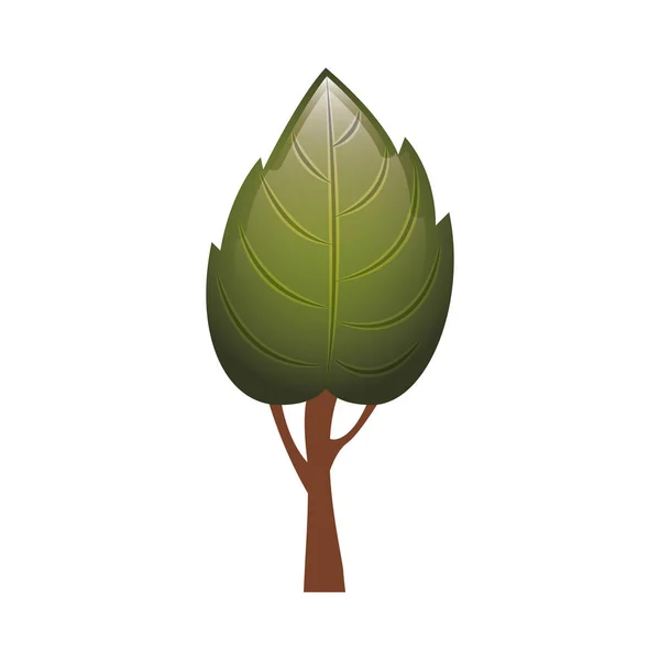 Färgglada träd med blad form blad lobulär — Stock vektor