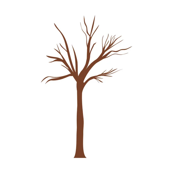 Ствол дерева с ветвями без листьев — стоковый вектор