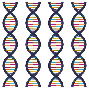 sıra Dna renk üsleri ile