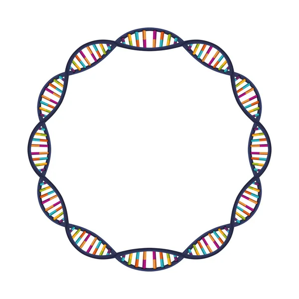 Esfera de cadeia de DNA com curvas — Vetor de Stock