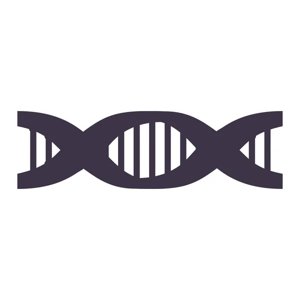 Cadena de ADN con información genética — Archivo Imágenes Vectoriales